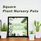 Anyumocz 24Pcs 3" Square Plastic Plant Pots,White Nursery Pots with Saucers,Seedling Nursery Transplanting Planter Container for Plants,Garden,Flower,Home,Office,Balcony Decor,Indoor,Outdoor