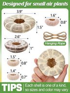 5 Pack Mini Sea Urchin Shell Air Plant Holders- 1.4-3.7 Inch Decorative Airplant Pot, Tabletop Air Tillandsia Succulent Display Container for Home Garden Decor Beach Theme Party Favors (No Plants)