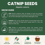 Catnip – 2,750 Premium Seeds for Planting – Fragrant Herb for Pets & Pollinators – 2026 Season – 2 Gram Pouch