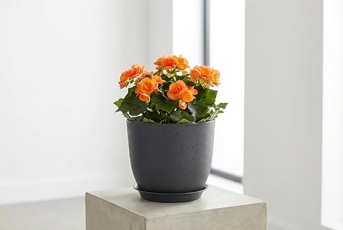 8 Inch Plant Pots Set of 4, Plastic Planters with Drainage Holes and Tray, Flower Pots for Indoor Outdoor Plants and Flowers (Black)
