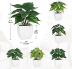 Briful 6PCS Fake Plants Potted Artificial Plants, Mini Faux Plants in White Pots Greenery Décor for Home Office Table Shelf Bathroom Farmhouse Indoor Decoration