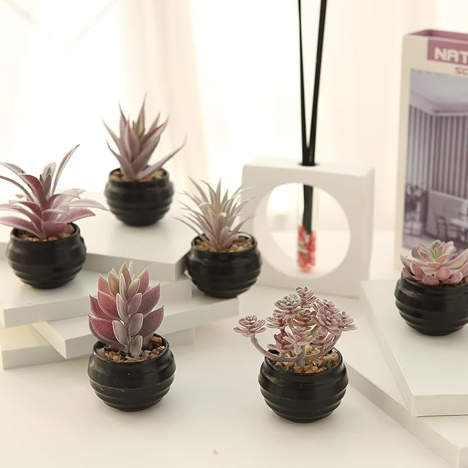 GREENTIME 6 Pcs Purple Artificial Succulents Valentine's Day in Black Plastic Pots Couple Gift Small Fake Succulent Plant Room Decor for Women Office Indoor Bedroom Bathroom Table Shelf Decoration