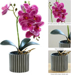 Artificial Orchid 12.6 Inch Tall Realistic Faux Orchid in A Pot Real Touch Decorative Bonsai Fake Flowers for Table Centerpieces Living Room Home Decor Purple