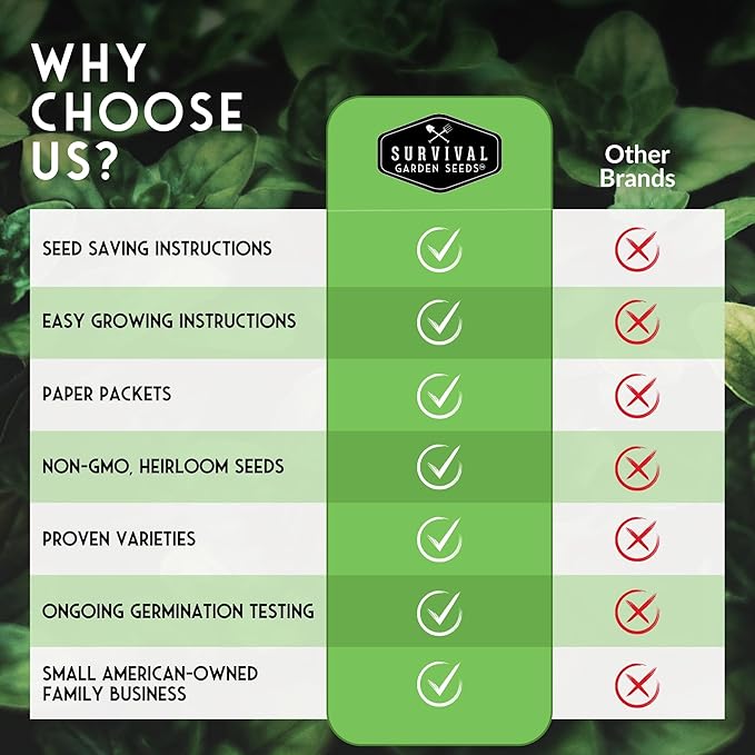Scarlet Kale Seeds for Planting – Heirloom Purple Kale – Cold Hardy for Fall & Spring Vegetable Gardens – Crimson-Red Curly Leaves, Edible Garden Greens – Survival Garden Seeds (2 Packs)