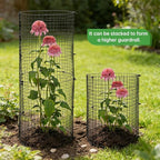 5 Pack Round Plant Protector from Animals, 12'' x 12'' Metal Plant Cages, 15 PCS Metal Mesh to Keep Animals Out, Garden Protection Bunny Barricades, Wire Plants Protectors for Rabbits Chicken Duck