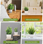 Kifmurase 12Pcs Fake Plants, Mini Artificial Greenery Potted Plants for Shelf, Small Artificial Faux Eucalyptus for Home Decor, Indoor, Office, Desk, Shelf, Table Decoration