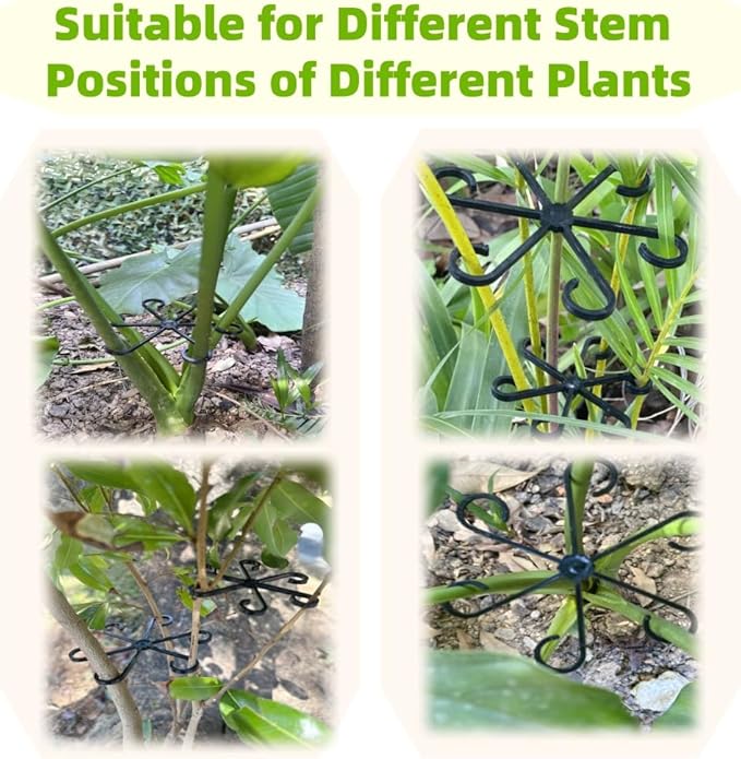 8 PCS Plant Stem Support, Plant Stakes for Indoor Plants Plant Clips for Climbing Plants, Plastic Monstera Plant Support Accessories for Potted Indoor Plant in Various Growth Stage(4 Sizes, 2 Colors)