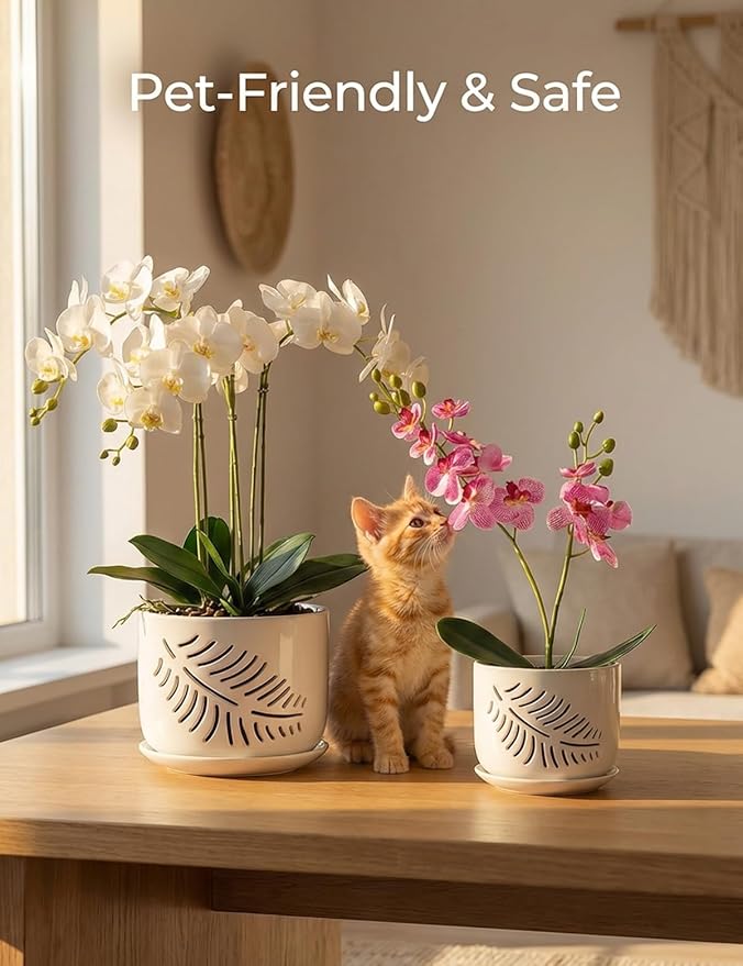 Set of 2 Orchid Pots with Holes, 5 and 6 Inch Ceramic Plant Pots for Plant Lovers – Great for Drainage & Airflow, Indoor/Outdoor Use, Perfect for Repotting