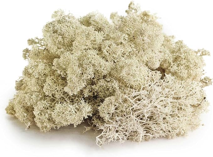 Galapagos (05180 Reindeer Moss, Natural, 150in3 Header Bag