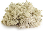 Galapagos (05180 Reindeer Moss, Natural, 150in3 Header Bag