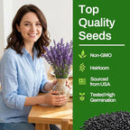 LUOJIBIE Lavender Seeds, 20000+ Seeds Bulk Pack, 2026 Lavender Seeds for Planting Outdoor, High Germination Non-GMO, Wildflower Seeds for Planting Indoor Outdoor, Open Pollinated