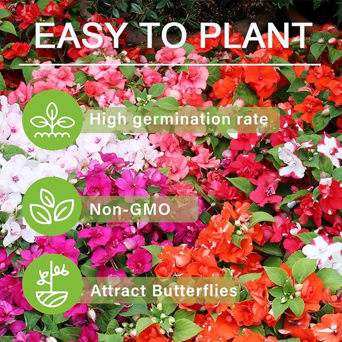 500+Impatiens Mixed Seeds for Planting Outdoor-Perennial Impatiens Balsamina Plants Ornamental Garden Potted Bonsai Indoor