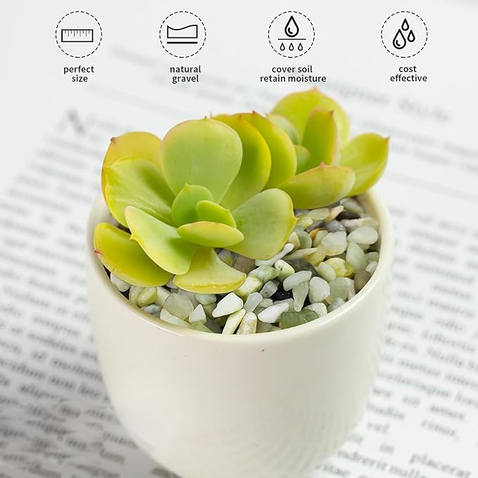 FANTIAN 10 lbs Pebbles for Landscaping,1/4 Inch Polished Green Pea Gravel Small Rocks for Plants, Succulents, Cactus, Vases, Terrarium and Outdoor Gardening