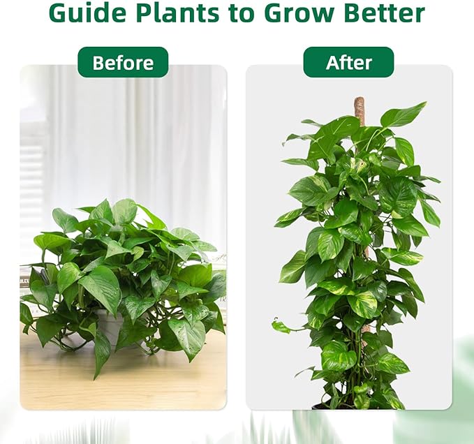 Mcbazel 63 Inch Bendable Moss Pole for Plants Monstera - Tall Coco Coir Plant Support Stake for Climbing Indoor Plants, Pothos & Philodendron - Large Flexible Stick Kit with Full Garden Ties