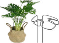 M METERXITY 1-Pack Monstera Plant Support, 11x5.9 Inch Reusable Sturdy Alloy Plant Support Stakes Unique Design for Potted Plants Flowers/Vegetables/Indoor Outdoor Climbing Plants [Black]
