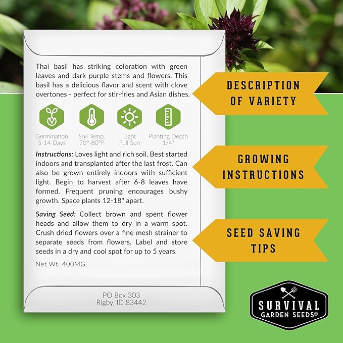Thai Basil Seeds for Planting – Sweet Thai Basil with Anise Flavor for Asian Cooking – Heirloom Non-GMO Herb Seed for Indoor or Outdoor Gardens – Survival Garden Seeds (5 Pack)