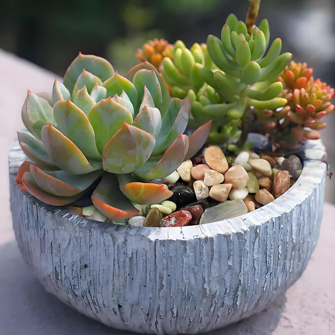 FANTIAN 2 Pounds Pebbles for Plants, 3/8 Inch Succulent Rocks, Decorative Polished River Rocks for Plants Indoor, Vases, Cactus Planters, Bird Bath, Craft and Fairy Garden