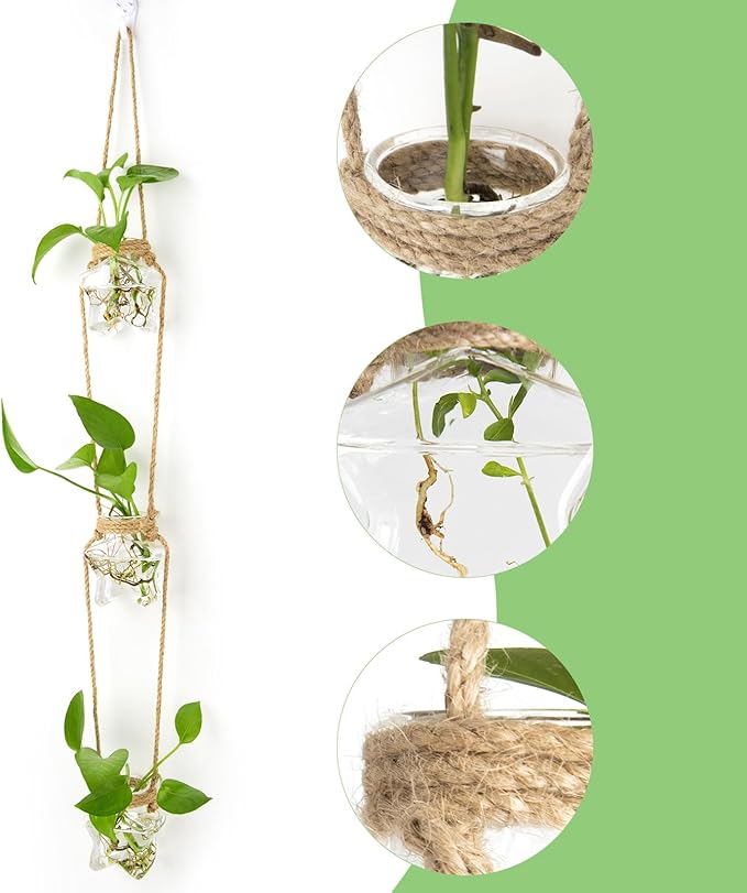 XXXFLOWER Wall Hanging Propagation Station，3 Tiers Star Shaped Glass Flower Vase for Hydroponic Planter Terrarium for Plant Cutting Home Office Living Room Garden Decor