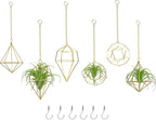 Gold Hanging Air Plants Holders Small Tillandsia Airplants Hangers 6 Pack Geometric Wire Himmeli Air Fern Display Planter with Chains Airferns Metal Hanging Holders