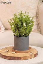 2 Pack Small Desk Plants, Artificial Bathroom Plants Decor with Thyme Flower in Vintage Melamine Pots, Faux Plants Indoor for Shelf Decor in Home Office, and Spring Decor (Ivory)