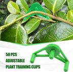 50 PCS Adjustable Plant Training Clips, Green Low Stress Support Clips for Stem Bending, Ideal for Grow Tents and Gardening