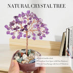 Amethyst Crystal Tree with Ceramic Base,Natural Gemstone Feng Shui Money Tree for Wealth,Good Luck & Positive Energy,Handmade 5 Inch Healing Abundance Bonsai for Home Office Decor