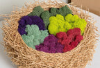 Super Moss (23164) Reindeer Moss Preserved, Fuchsia, 2oz