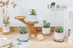 Der Rose Set of 4 Succulents Plants Artificial Fake Plants for Living Room Bathroom Bedroom Aesthetic Home Kitchen Decor