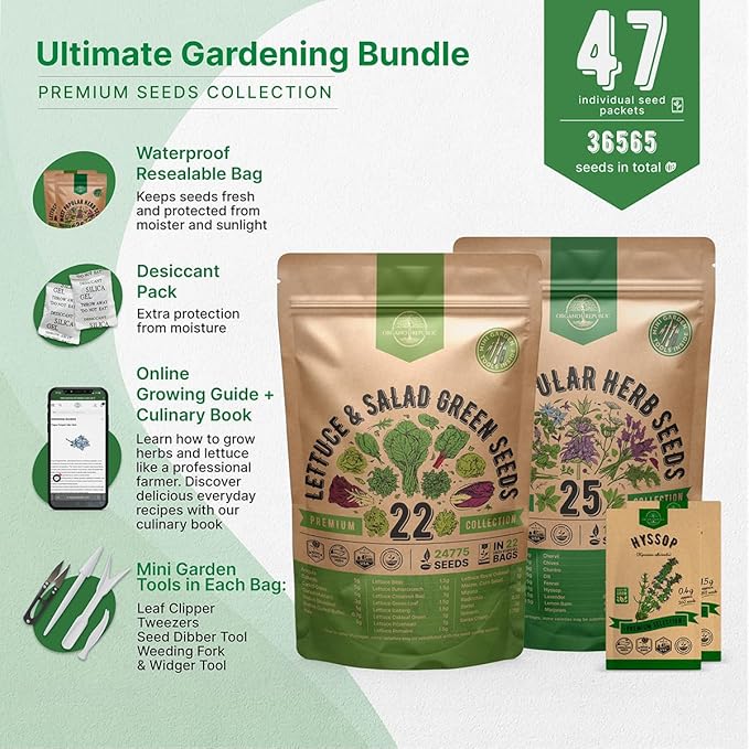 Organo Republic 22 Lettuce & Salad Greens Seeds & 25 Most Popular Herb Seeds Variety Pack Bundle, 36,400+ Non-GMO Heirloom Garden Seeds for Planting Vegetables & Herbs for Indoor & Outdoor Gardening
