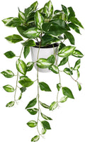Briful Fake Plants Indoor Greenery Realistic Faux Trailing Plant Artificial Potted Plants in Black Pot White N' Joy Leaf Houseplant for Living Room Table Kitchen Counter Shelf