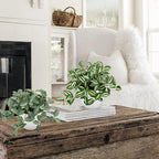 Hollyone Fake Plants 2 Packs Artificial Plants Indoor Faux Plants with White Plastic Pot Small Fake Potted Plant for Home Aesthetic Living Room Bathroom Desk Shelf Office Decor