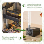 (Tank + Light +Pump + Filter + Filter Balls) Turtle Tank Kit, Turtle Tank Starter Kit,Bottom Drainage, Multi-Function Areas for Turtles, Crabs,Fishes, Amphibians,Reptiles. (21.65 x 12.28 x12.28 Inch)
