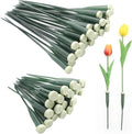 50 Pack Extendable Stem Water Tubes with Caps for Flowers, Extendable Vials for Floral Arrangements, Essential Florist Supplies (6 and 12 Inches)