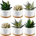 Sieral 6pcs Mothers Day Christian Gift Bible Verse Succulent Pots 3 x 3 x 2 Inch Mini Ceramic Succulent Planters with Bamboo Tray Small Plant Pots Gift for Church Women, Plants Not Included (Bright)