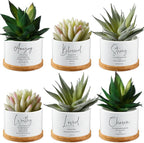 Sieral 6pcs Mothers Day Christian Gift Bible Verse Succulent Pots 3 x 3 x 2 Inch Mini Ceramic Succulent Planters with Bamboo Tray Small Plant Pots Gift for Church Women, Plants Not Included (Bright)
