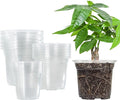 Bonviee 36 Packs 3.5/4/5 Inch Clear Nursery Pots, Transparent Plastic Planter with Drainage Holes, Seed Starting Pot Flower Plant Container -Clear