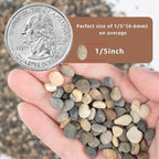 20LB Natural River Rocks, 1/4" Aquarium Gravel, Small Pebbles for Plants, Pea Gravel for Fish Tanks, Decorative Rocks for Gardening, Flower Pots, Vase Fillers, Indoor Fountains (20 LBS)