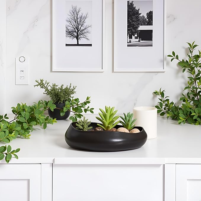 9.5'' Black Ceramic Indoor Plant Pot,Low Bowl Indoor Plant Pot with Decorative Tray, Contemporary Decorative Flower Pot for Home, Kitchen, Office & Event Décor