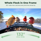 Kiwibit Solar Smart Bird Feeder with Camera, AI Bird Species Identification, 8MP Photos, 4K UHD Video Live Stream Wild Bird House Feeders for Outdoors, Bird Watching Gifts for Bird Lovers, Green
