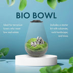 SubstrateSource Bio Cylinder - Glass Plant Terrarium Kit - Glass Terrarium w/LED Grow Light, Adjustable Ventilation Lid, Substrate, Moss & Accent Rocks - Bio Bowl 175