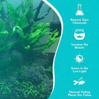 Live Plants for Fish Tank - Java Fern Mat with Coconut Coir, Microsorum Pteropus - Ideal Live Plants for Beta Fish Tank - Enhance Aquatic Environments Naturally