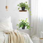 AceList 2 Pack Fake Plants, Artificial Plants for Home Decor Indoor, Realistic Fake Watermelon Leaves with Black Pot for Bedroom Living Room Shelf Outdoor Office Decor