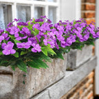 CITYES 4 Pcs Artificial Flowers Outdoor Impatiens UV Resistant Silk Impatiens Flowers Purple Faux Flowers Impatiens Bushes Artificial Impatiens for Pot Patio Lawn Garden Hanging Basket Porch Decor