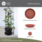 The HC Companies 6 Inch Classic Round Plant Saucer, Lightweight UV-Resistant Plastic Outdoor & Indoor Flower Pot Tray, 4-Pack Plant Pot Trays for Garden & Home Decor, Clay