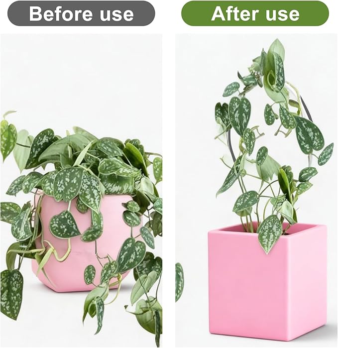2Pcs Heart&Round Plant Trellis, Acrylic Small Trellis Climbing Plants Indoor Outdoor, Plant Support for Hoya Pothos Vine Ivy Monstera Flower Philodendrons Dischidia