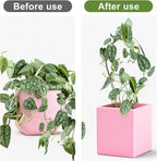 2Pcs Round Plant Trellis, Acrylic Small Trellis Climbing Plants Indoor Outdoor, Plant Support for Hoya Pothos Vine Ivy Monstera Flower Philodendrons Dischidia