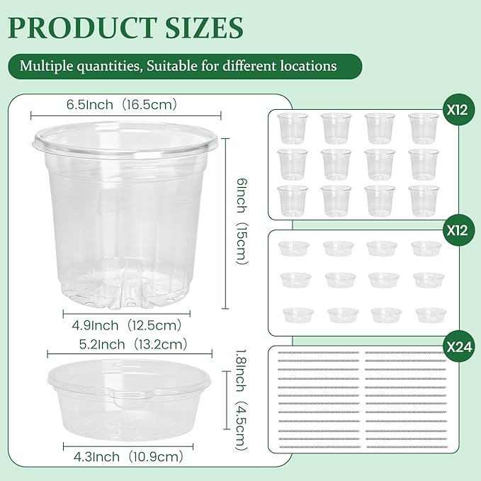 Bluepro 12 Pack 6.5 Inch Clear Self Watering Plant Pots with Bottom Water Tray & Watering Rope, Transparent Nursery Pots with Drainage for Seedlings, Herbs, and Houseplants
