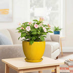 8 Inch Pots for Plants, Ceramic Plant Pots for Indoor Plants, Round Ceramic Planter with Drainage Hole and Saucer, Modern Decorative Plant Pot, Home Kitchen Decor, Women Men Gifts, Yellow