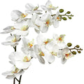 DILATATA Blooming Phalaenopsis Orchid Artificial 31.5" Long Stem with 9 Large Orchids Flowers Artificial Flowers for Decoration Home Arrangement-White Green Orchid 2 Pcs