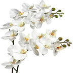 DILATATA Blooming Phalaenopsis Orchid Artificial 31.5" Long Stem with 9 Large Orchids Flowers Artificial Flowers for Decoration Home Arrangement-White Green Orchid 2 Pcs